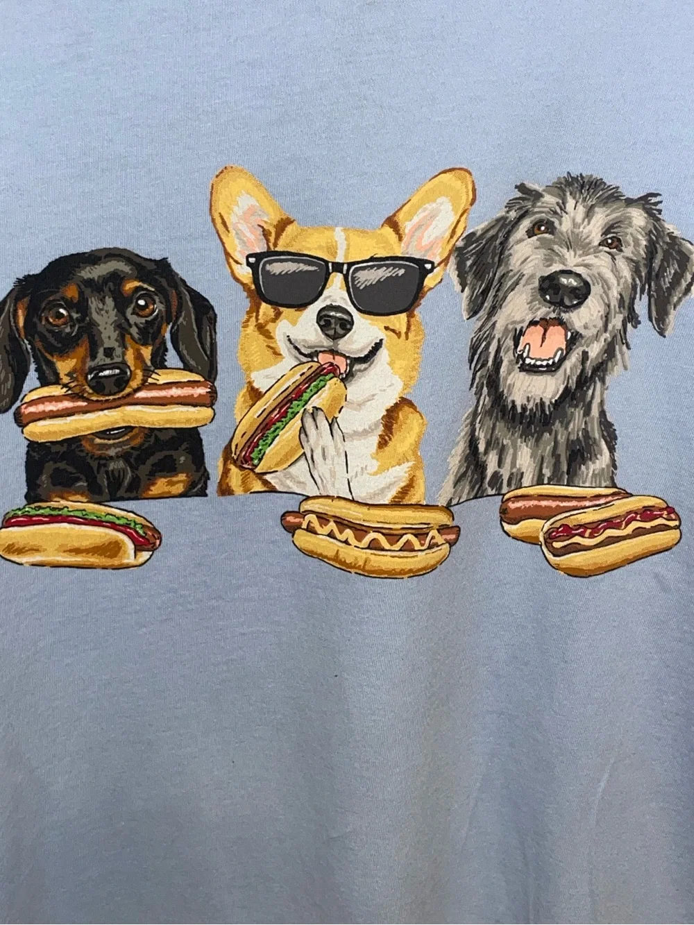 J. Crew Dog barbecue graphic tee. XL